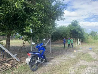 For sale land in Doi Lo, Chiang Mai