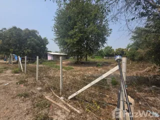 For sale land in Doi Lo, Chiang Mai