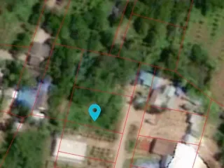 For sale land in Doi Lo, Chiang Mai