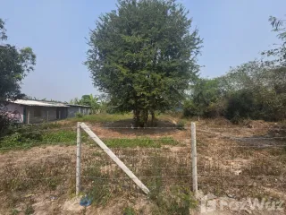 For sale land in Doi Lo, Chiang Mai