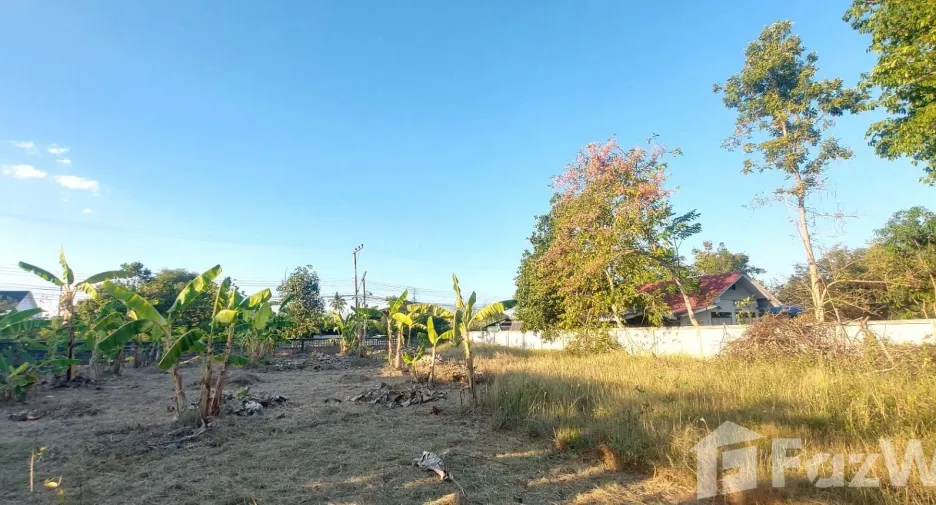 For sale land in Saraphi, Chiang Mai