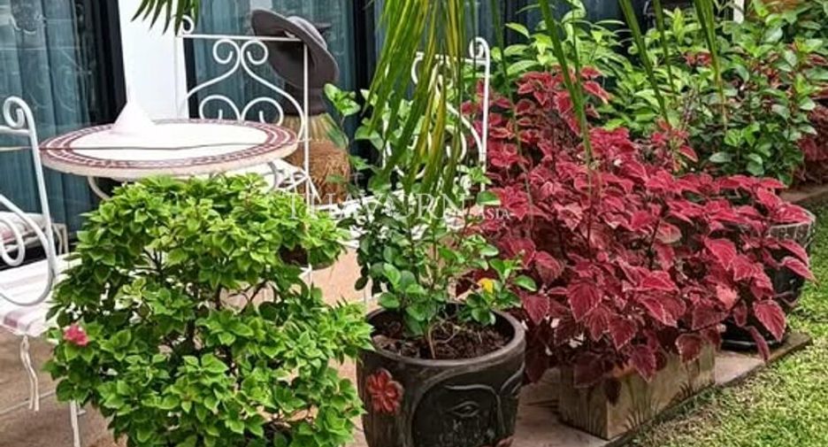 ขาย 2 ห้องนอน บ้านเดี่ยว ใน บางละมุง, ชลบุรี