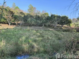 For sale land in Mae On, Chiang Mai