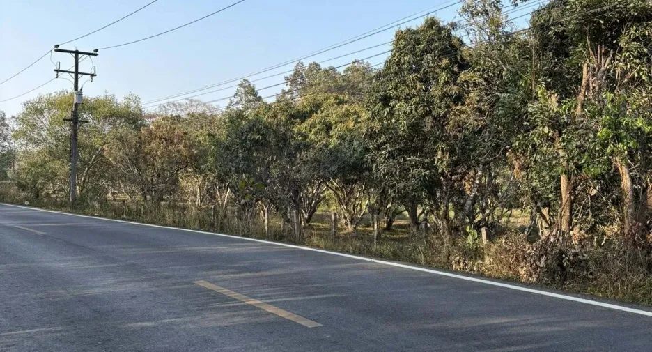 For sale land in Mae On, Chiang Mai