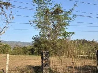 For sale land in Mae On, Chiang Mai