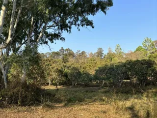 For sale land in Mae On, Chiang Mai