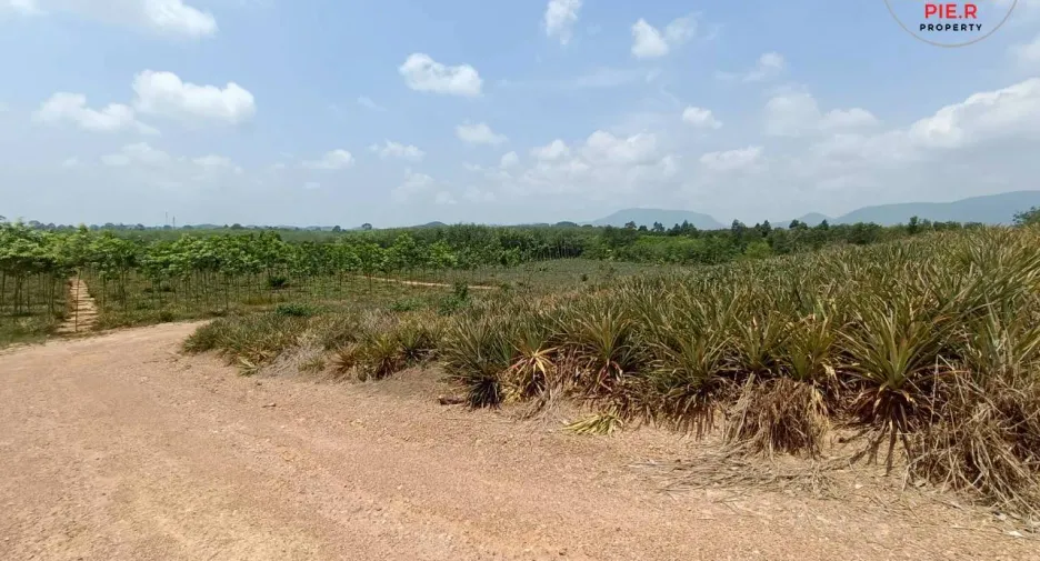 Grundstück zum Kauf in Mueang Rayong, Rayong