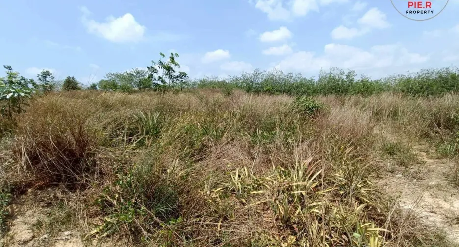 Grundstück zum Kauf in Mueang Rayong, Rayong