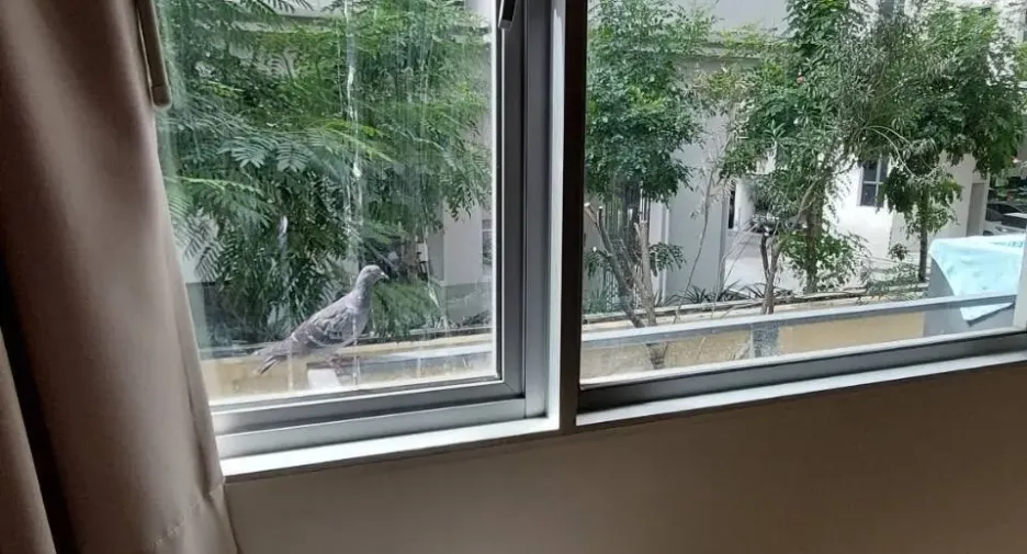 For rent 1 bed condo in Phra Khanong, Bangkok