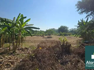 Grundstück zum Kauf in Bang Lamung, Chonburi
