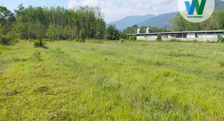 For sale land in Kong Ra, Phatthalung