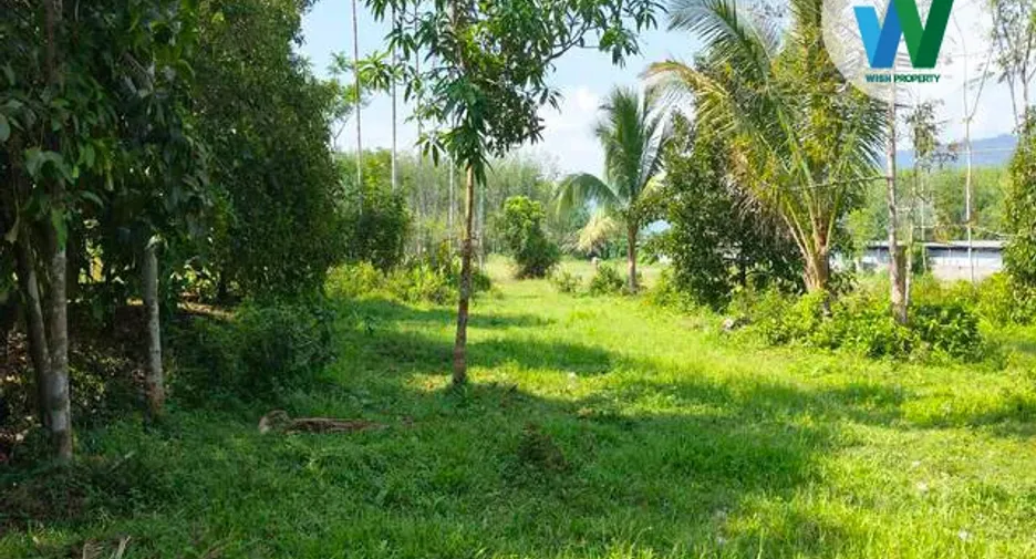 For sale land in Kong Ra, Phatthalung