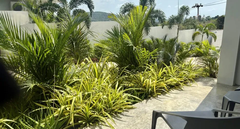 Villa zum Kauf mit 4 Zimmer in Ko Samui, Surat Thani