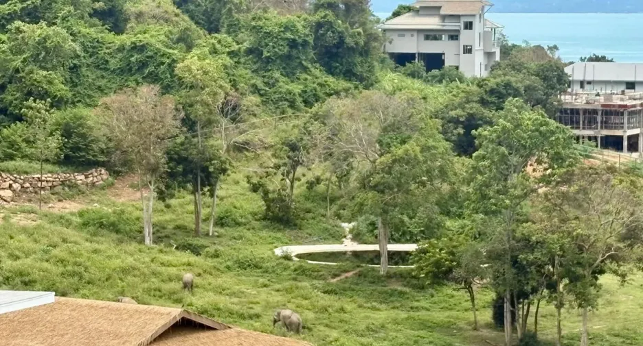 Villa zum Kauf mit 4 Zimmer in Ko Samui, Surat Thani