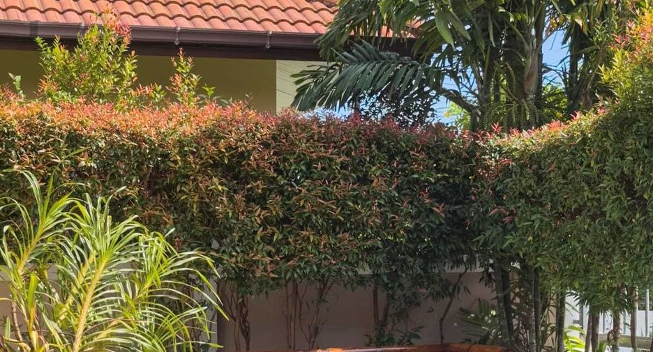 For rent 4 bedrooms villa in Mueang Phuket, Phuket