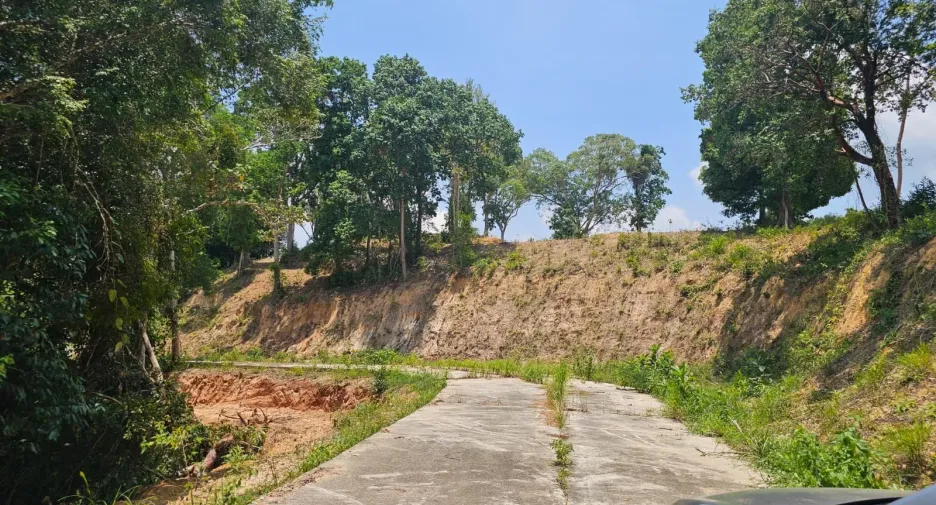 For sale land in Kathu, Phuket