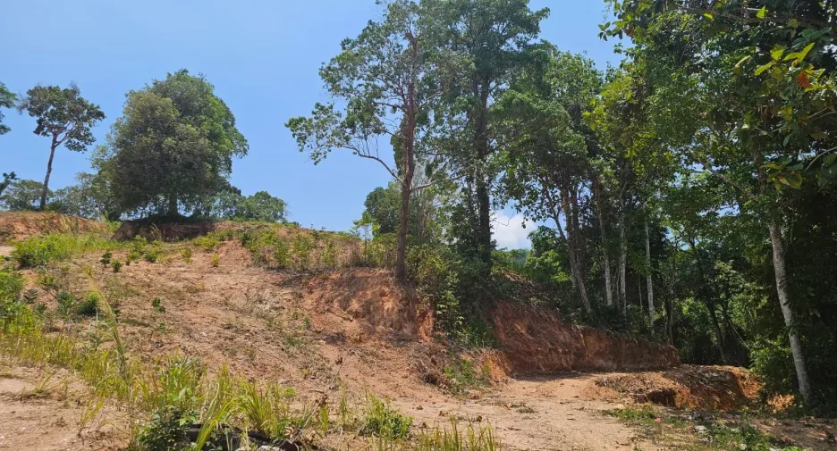 For sale land in Kathu, Phuket