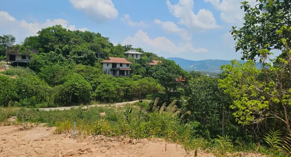 For sale land in Kathu, Phuket