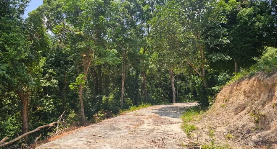 For sale land in Kathu, Phuket