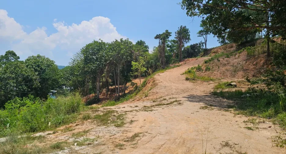 For sale land in Kathu, Phuket