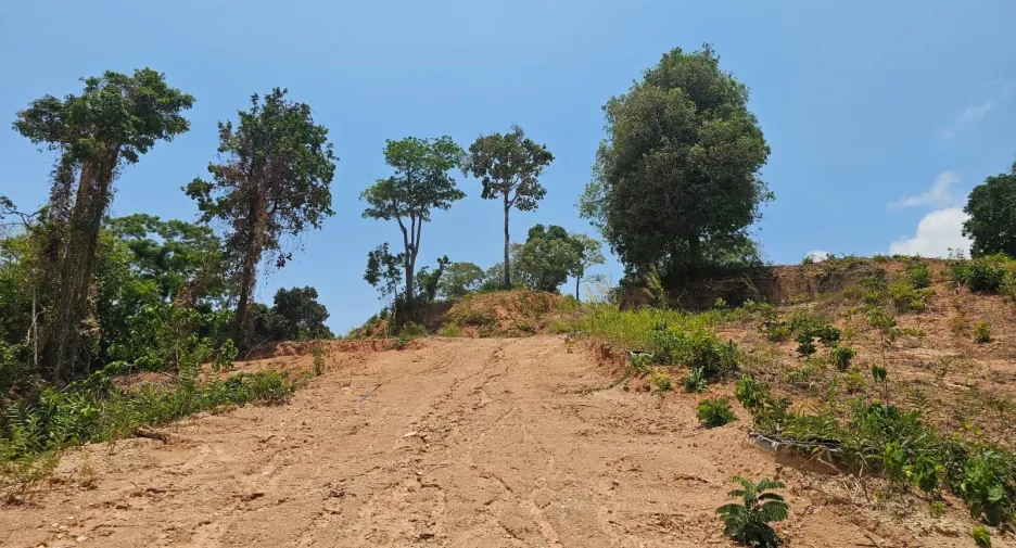 For sale land in Kathu, Phuket