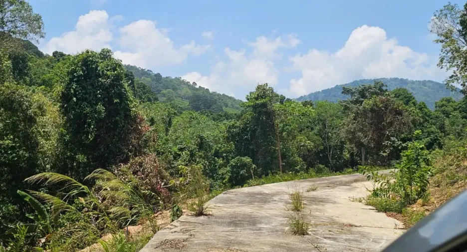 For sale land in Kathu, Phuket