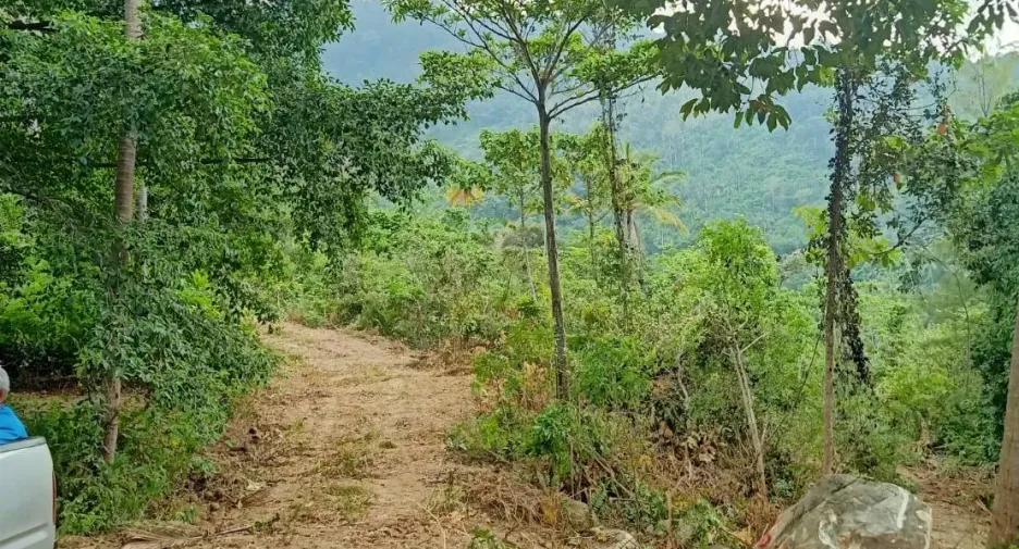 À vendre terrain à Ko Samui, Surat Thani