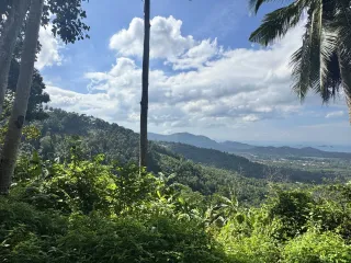 À vendre terrain à Ko Samui, Surat Thani