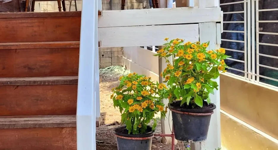 For rent 2 bedrooms house in Mueang Chiang Mai, Chiang Mai