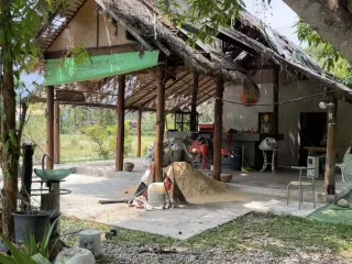 For rent 2 bedrooms house in Mae Rim, Chiang Mai