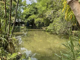 For rent 2 bedrooms house in Mae Rim, Chiang Mai