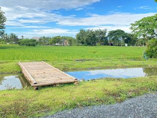 For sale 2 bedrooms house in Doi Saket, Chiang Mai