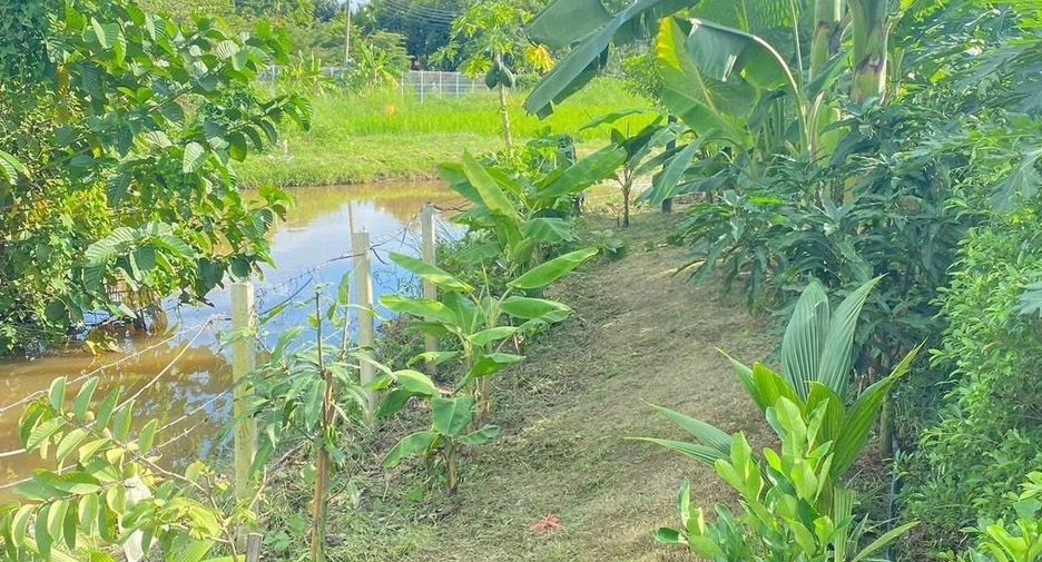 For sale 2 bedrooms house in Doi Saket, Chiang Mai