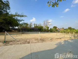 For sale land in San Sai, Chiang Mai