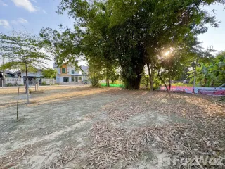 出售 土地 在 San Sai, Chiang Mai
