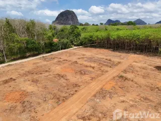 ขาย ที่ดิน ใน เมืองกระบี่, กระบี่