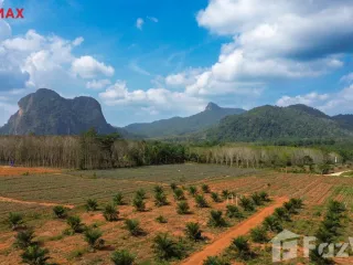 ขาย ที่ดิน ใน เมืองกระบี่, กระบี่