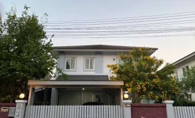 For rent 3 bedrooms house in San Sai, Chiang Mai