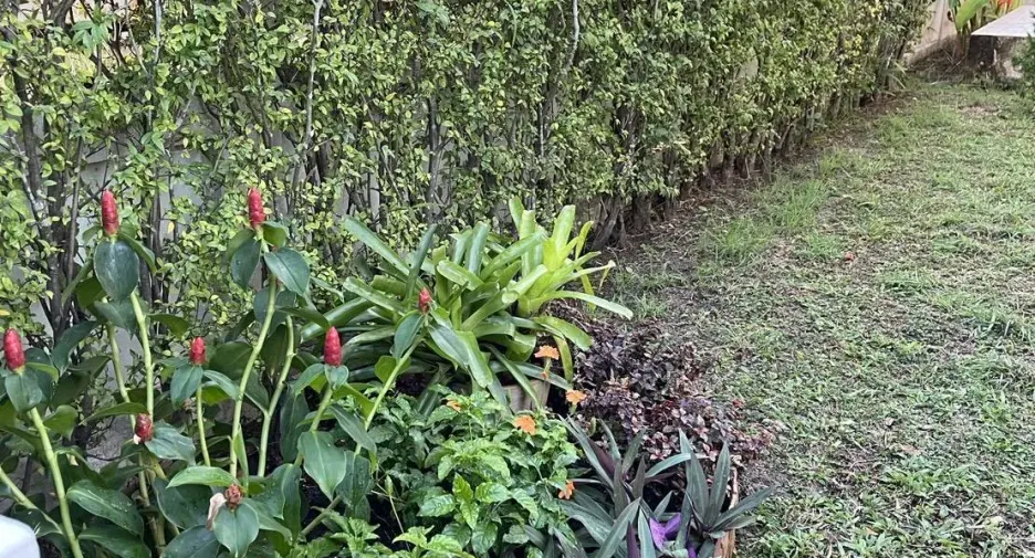 For rent 3 bedrooms house in Hang Dong, Chiang Mai