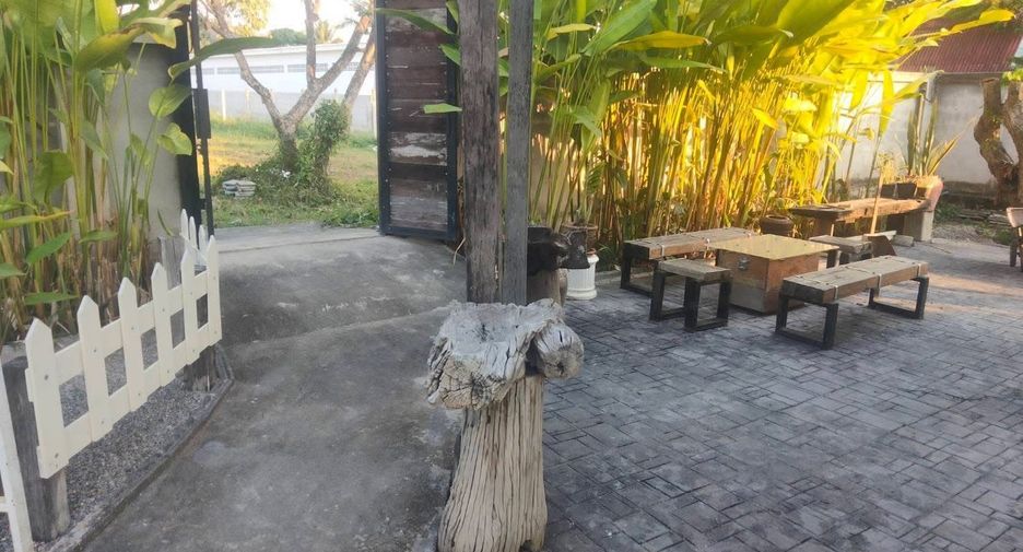 For sale land in San Sai, Chiang Mai