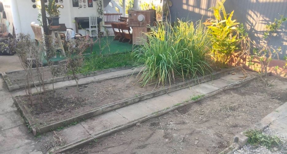 For sale land in San Sai, Chiang Mai