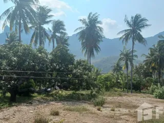 For sale land in Sam Roi Yot, Prachuap Khiri Khan
