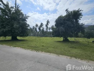 Grundstück zum Kauf in Ko Samui, Surat Thani