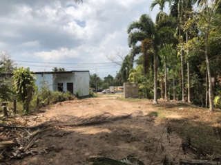 For sale land in Takua Pa, Phang Nga