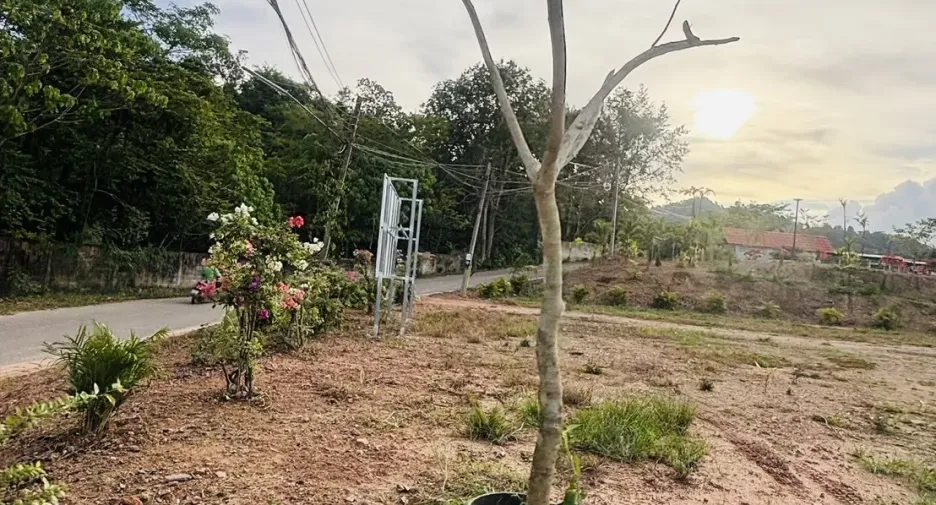 Grundstück zum Kauf in Mueang Krabi, Krabi