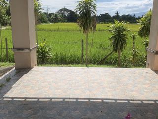 出售 3 卧室 独立屋 在 San Sai, Chiang Mai