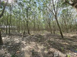 出售 土地 在 Klaeng, Rayong