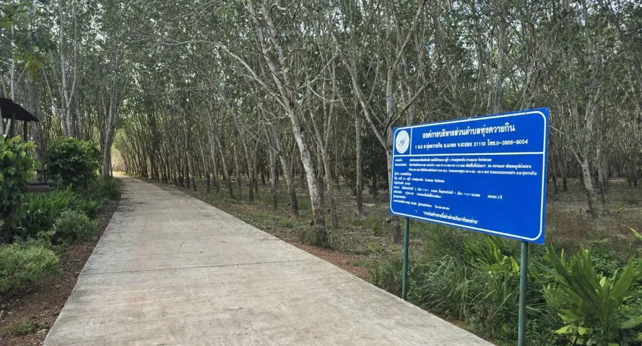 For sale land in Klaeng, Rayong