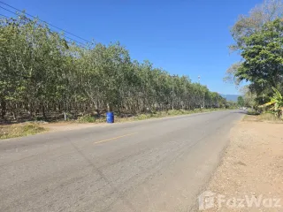 出售 土地 在 Klaeng, Rayong