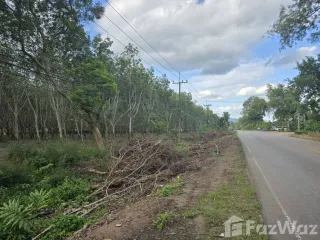 出售 土地 在 Klaeng, Rayong